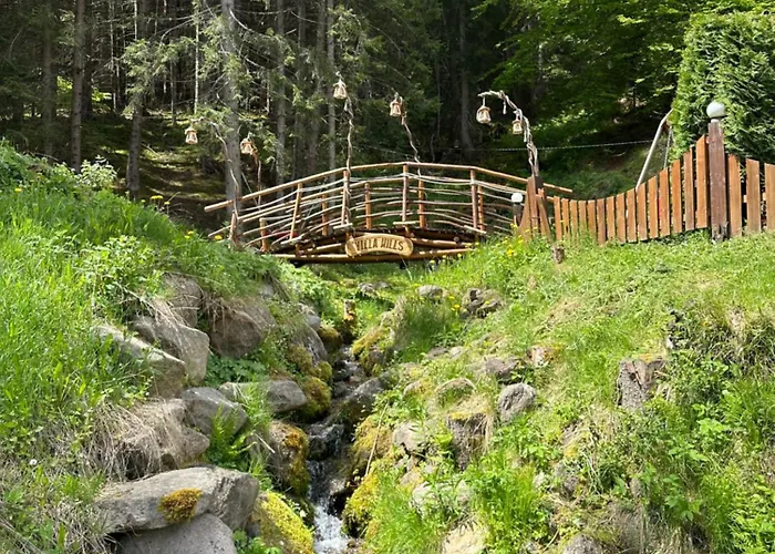 Hills - с храна